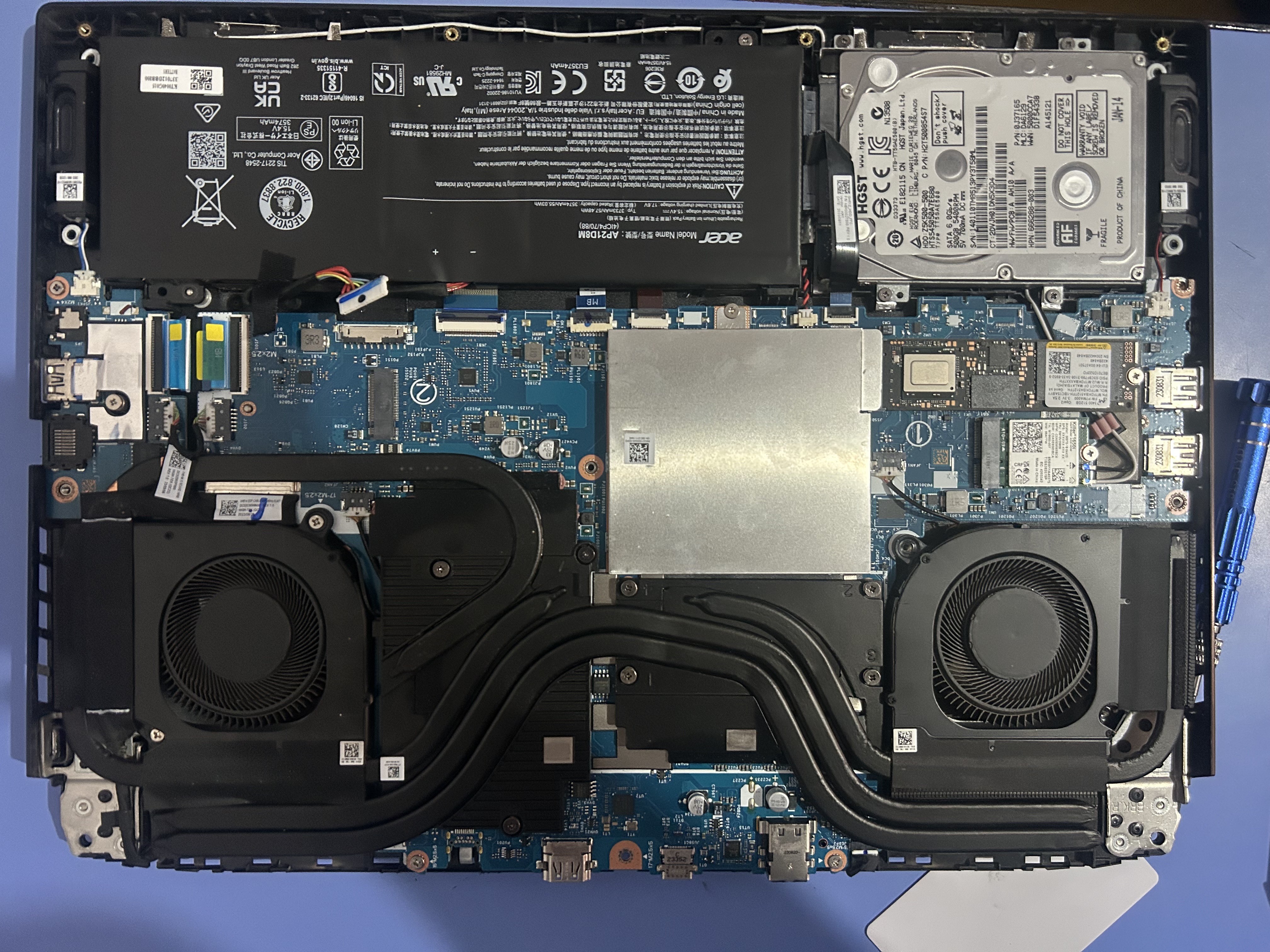 Gallery photo 4